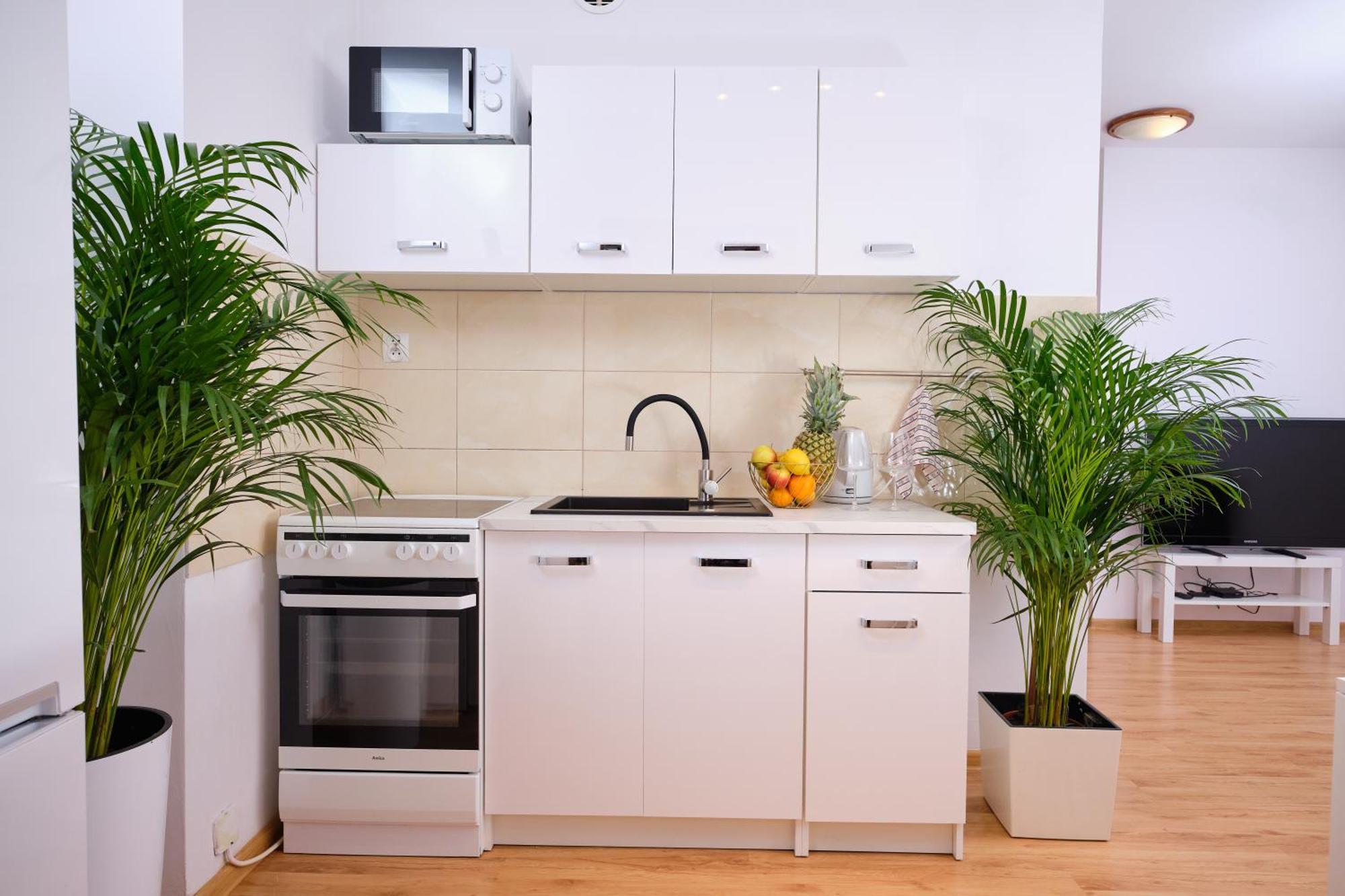 Apartament Sloneczny 12 Ополе Екстер'єр фото